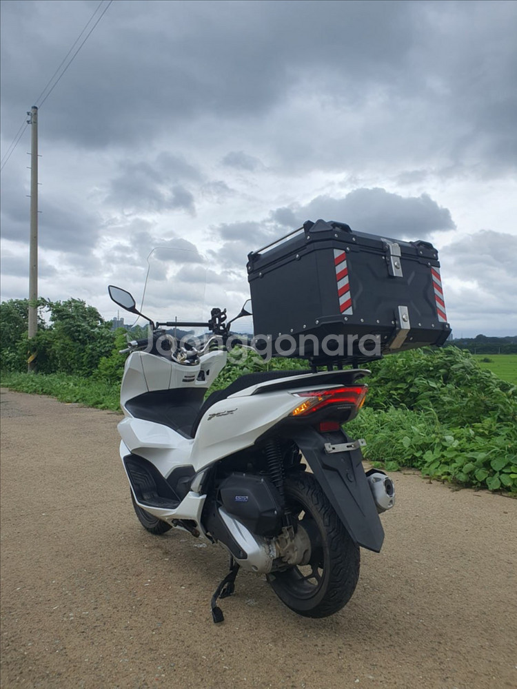 특가) S급 22년식 PCX125 2만5천KM 상태 최--2