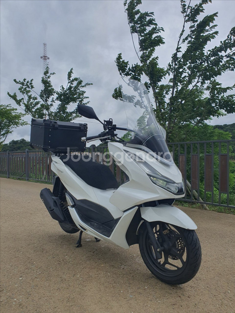 특가) S급 22년식 PCX125 2만5천KM 상태 최--6