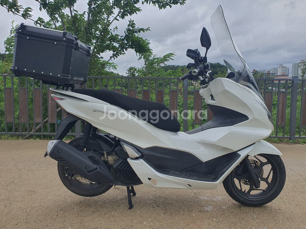 특가) S급 22년식 PCX125 2만5천KM 상태 최--5