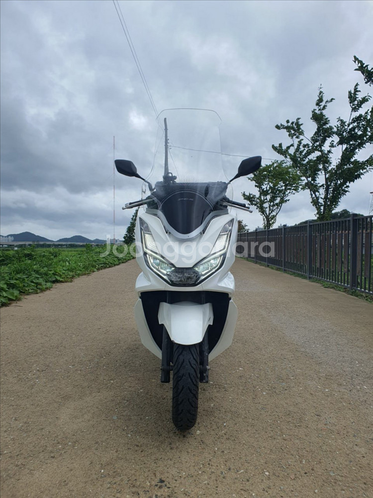 특가) S급 22년식 PCX125 2만5천KM 상태 최--7