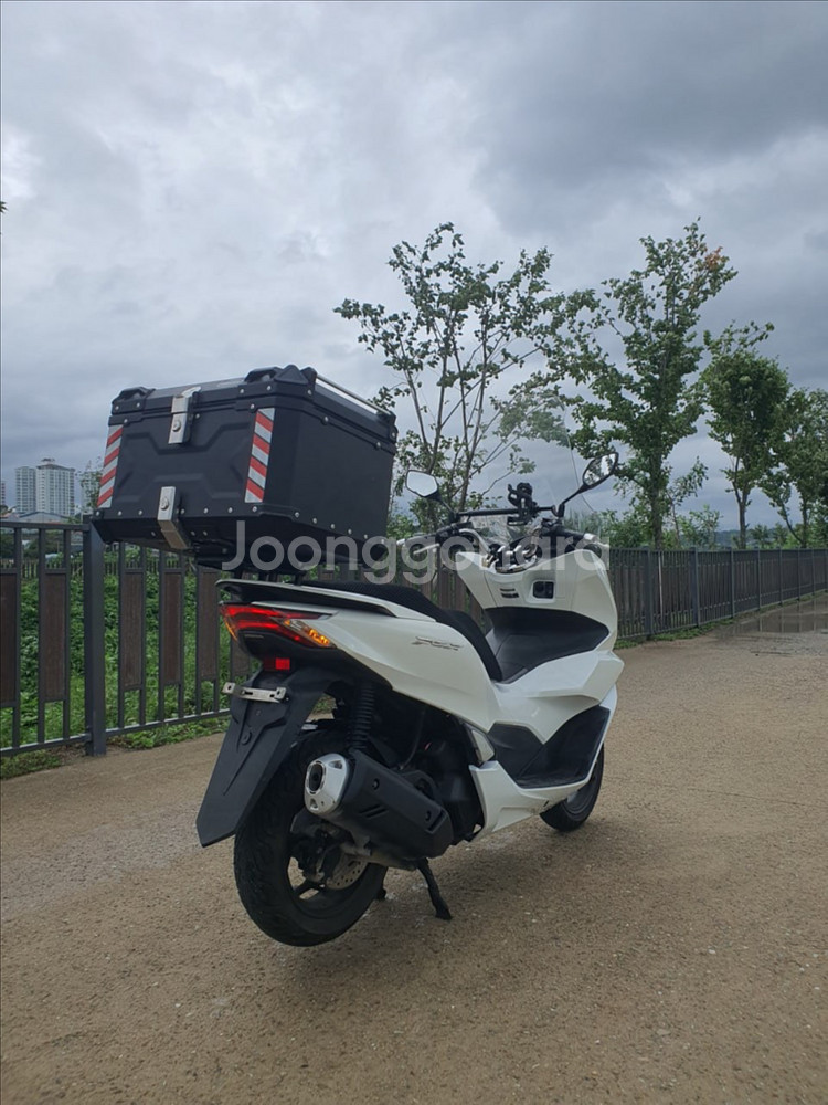 특가) S급 22년식 PCX125 2만5천KM 상태 최--4