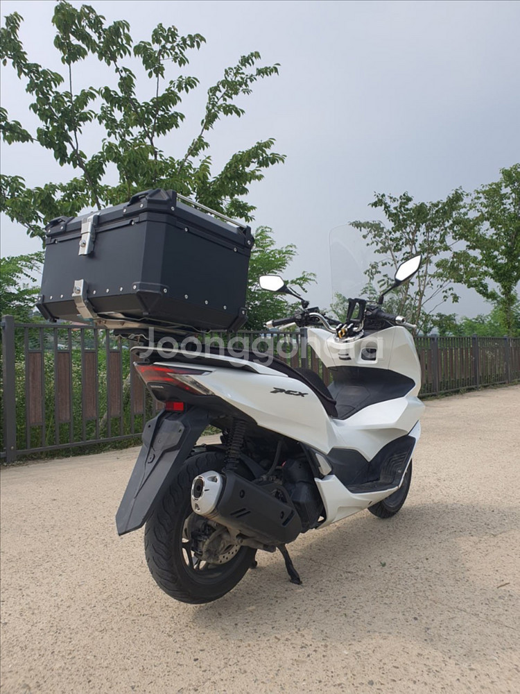 특가) S급 22년식 PCX125 1만2천KM 신차급--4