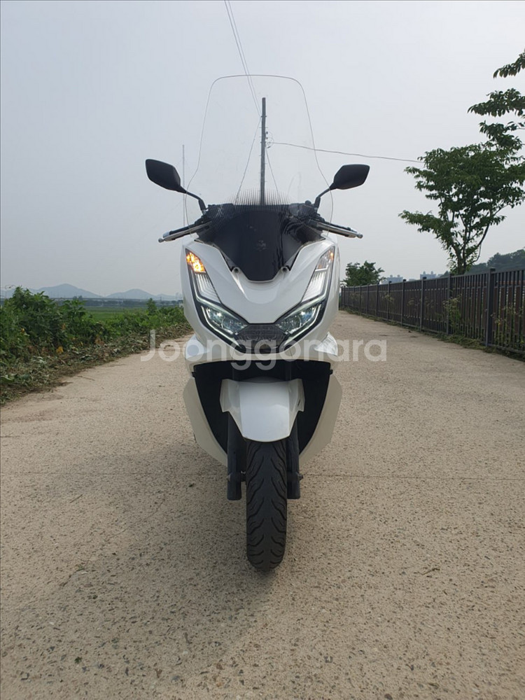 특가) S급 22년식 PCX125 1만2천KM 신차급--7