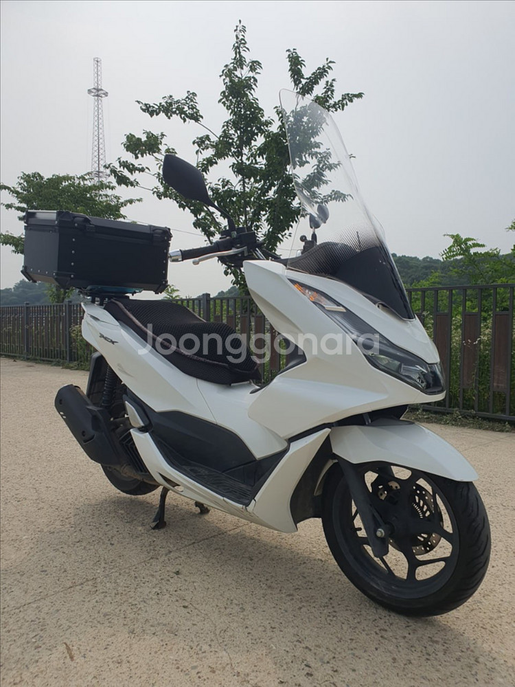 특가) S급 22년식 PCX125 1만2천KM 신차급--6