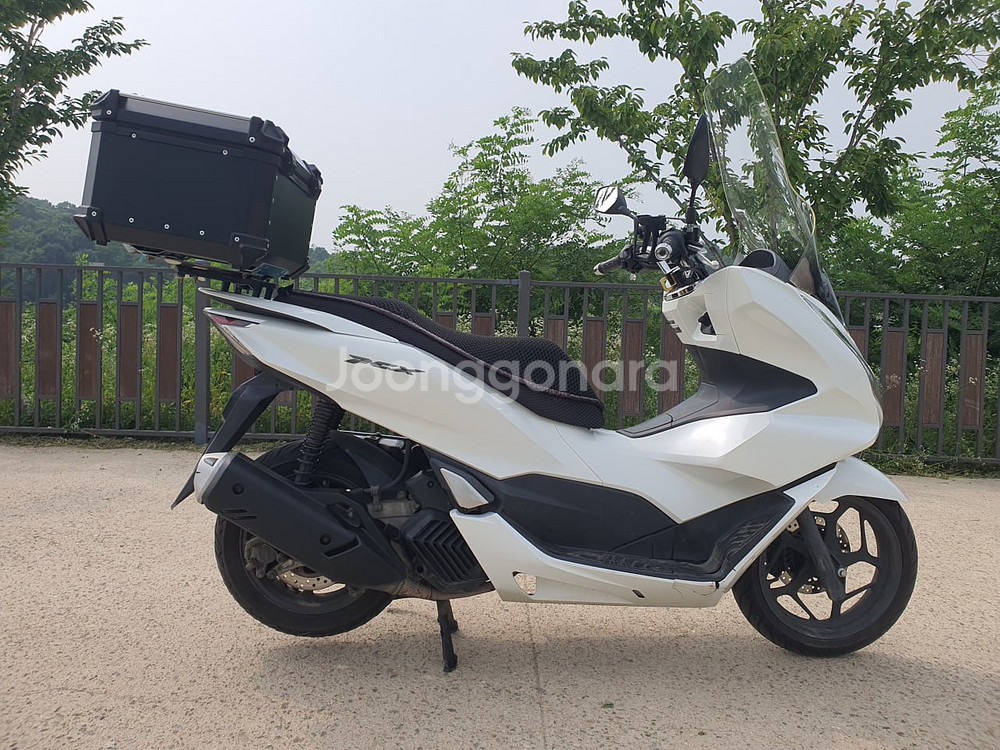 특가) S급 22년식 PCX125 1만2천KM 신차급--5