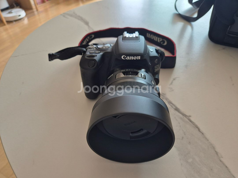 캐논 EOS 200D + 시그마 30mm아트 삼식이--0