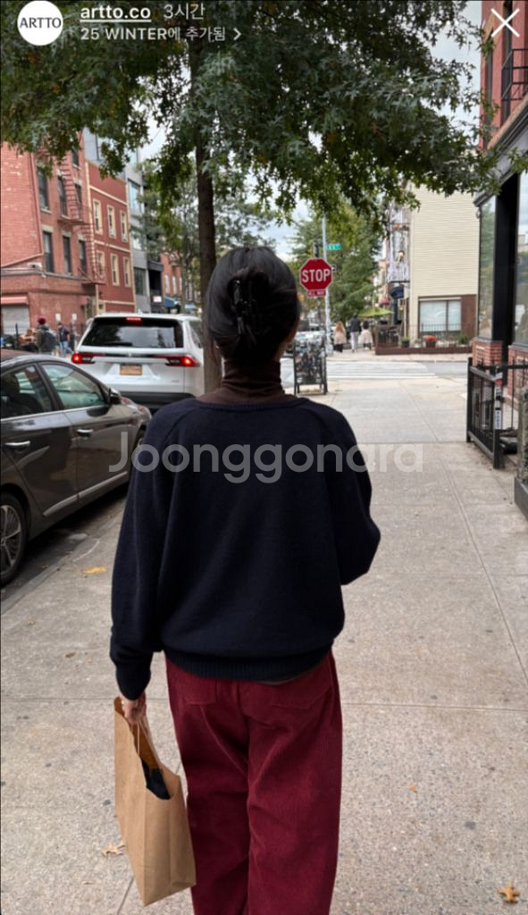 아르토 25FW Baby Alpaca V-Neck K--5