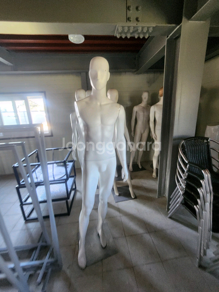 여성 남성 마네킹--0