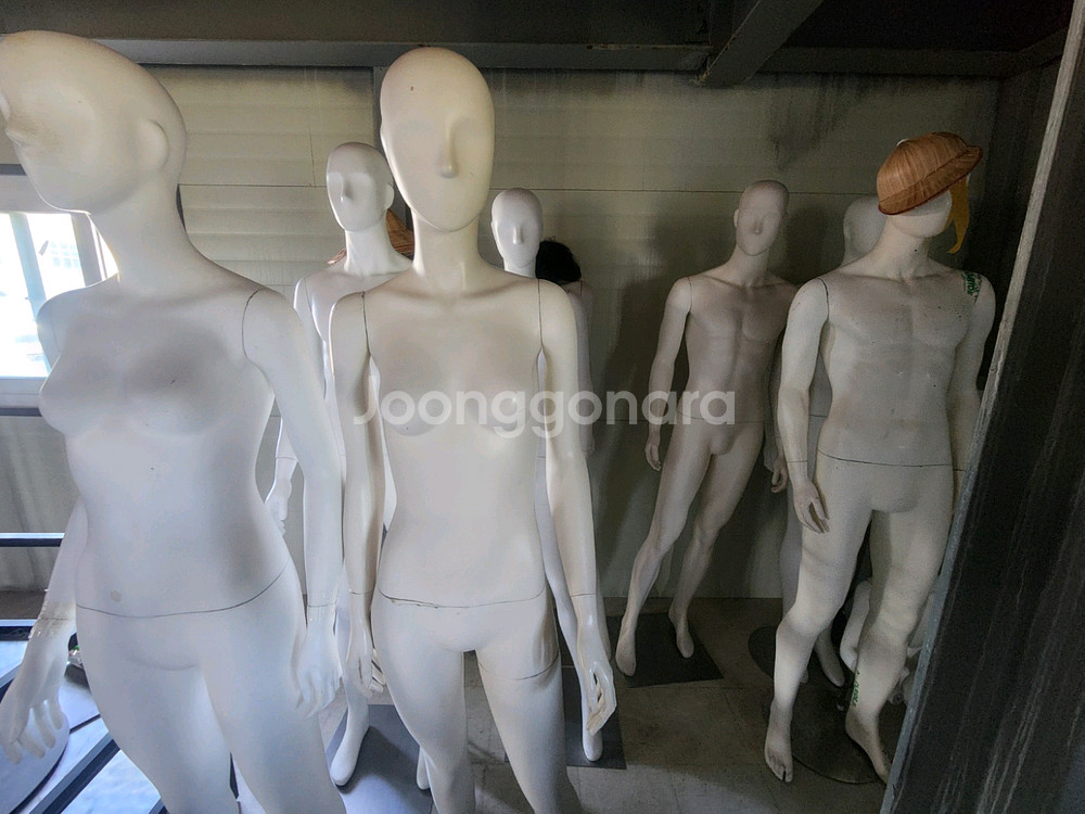 여성 남성 마네킹--1