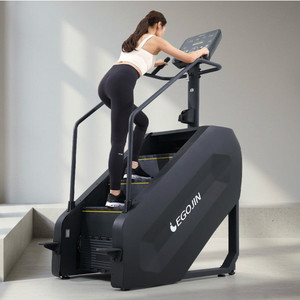 이고진 스탬밀 하이클라임 천국의 계단 새상품 판미