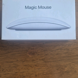 애플 매직마우스 2(8핀 라이트닝)