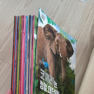 자연관찰 슬림 오플레이