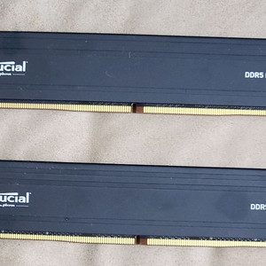 마이크론 ddr5 6000 48기가