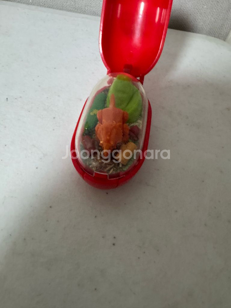 공룡메카드 공룡캡슐 파키리노--0