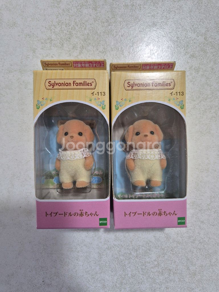 실바니안 직립 아기 토이푸들--0