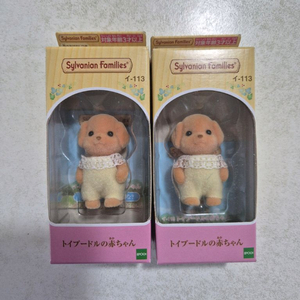 실바니안 직립 아기 토이푸들