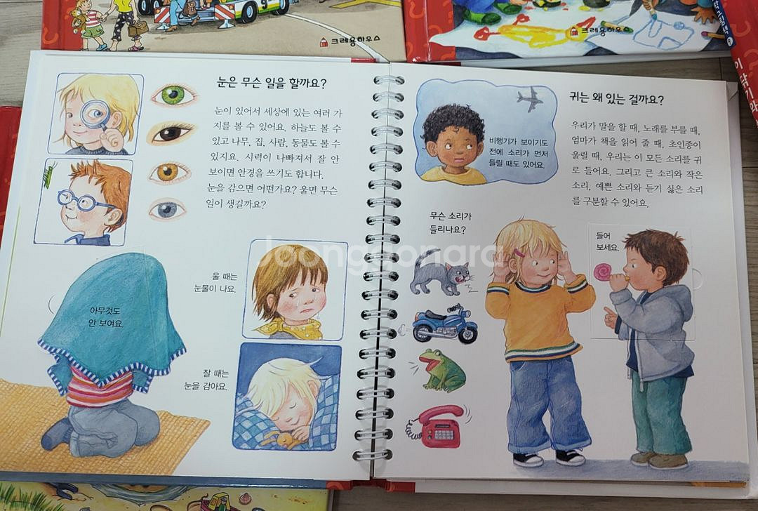 꼬마과학그림책 왜왜왜--1