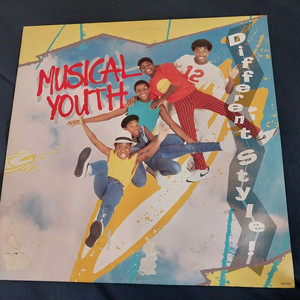 수입 레게 명반 엘피 LP