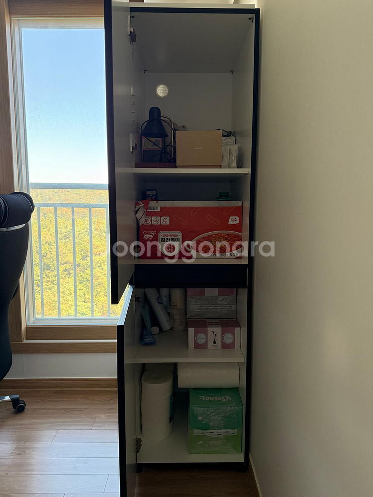 리센트 커스텀 LX 투도어틈새장--1