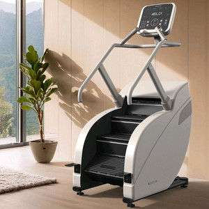 이고진 천국의 계단 가정용