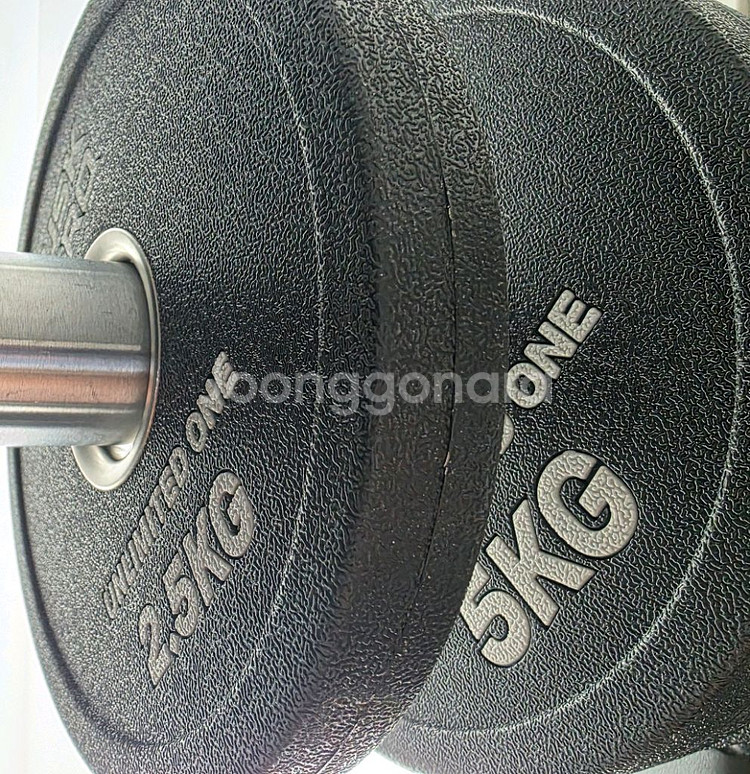 더스크제로원판 105kg 일괄 세종--3