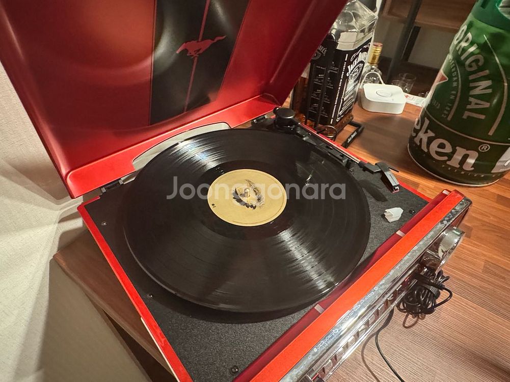 아이온 머스탱 LP--2