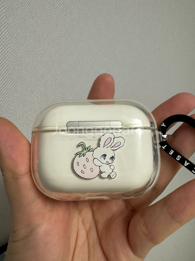 CASRTiFY 에어팟 프로 케이스--0