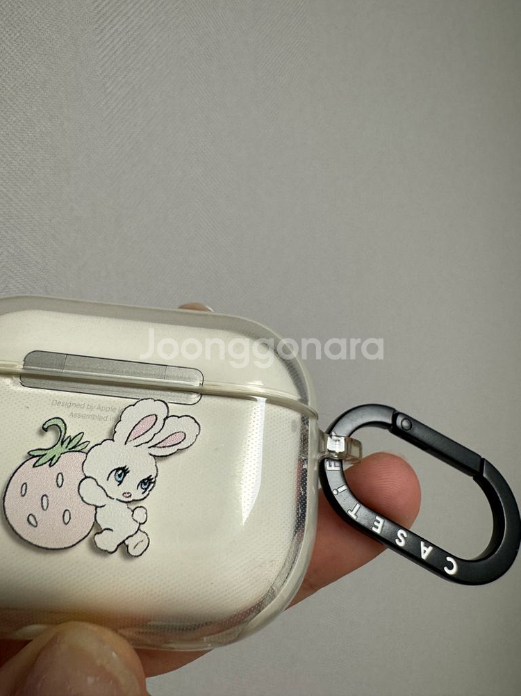 CASRTiFY 에어팟 프로 케이스--1