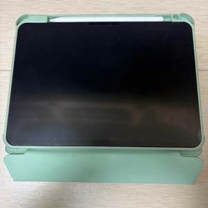 아이패드 프로 11 m4 256gb + 애플펜슬 프로