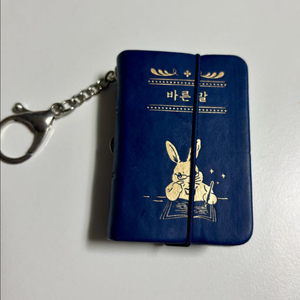 2025 민음사 바른말 키링(파란색), 북클럽/도서전