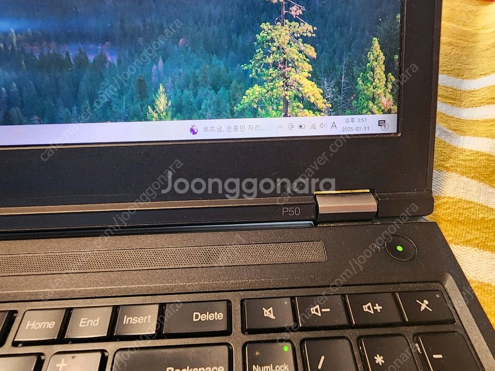 씽크패드 thinkpad p50--2