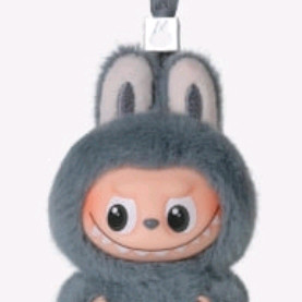 새상품:)팝마트 내 마음속 비밀번호 미니 라부부 W