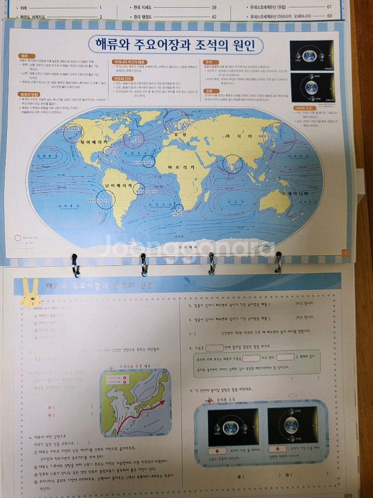 초등저학년 그림책--7