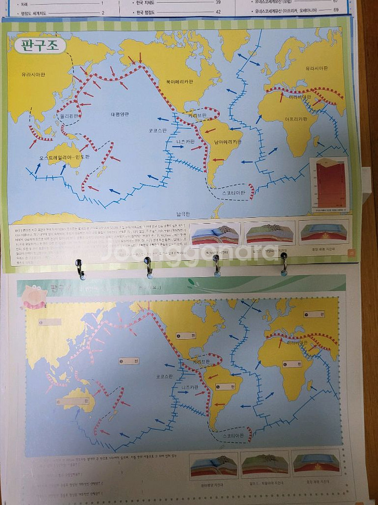 초등저학년 그림책--6