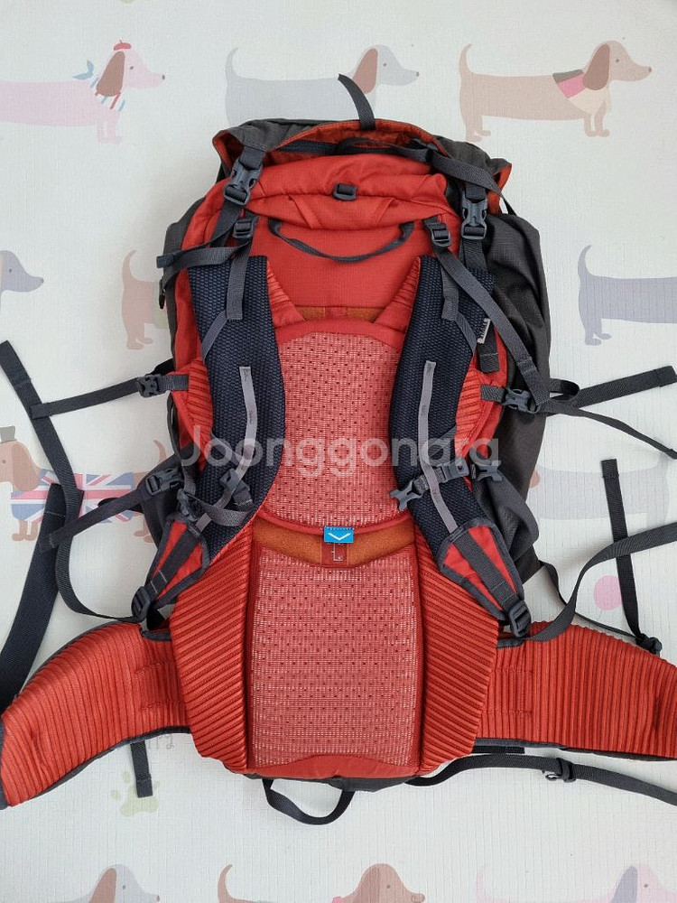 툴레 버선트 60 아스팔트 거의새거--1