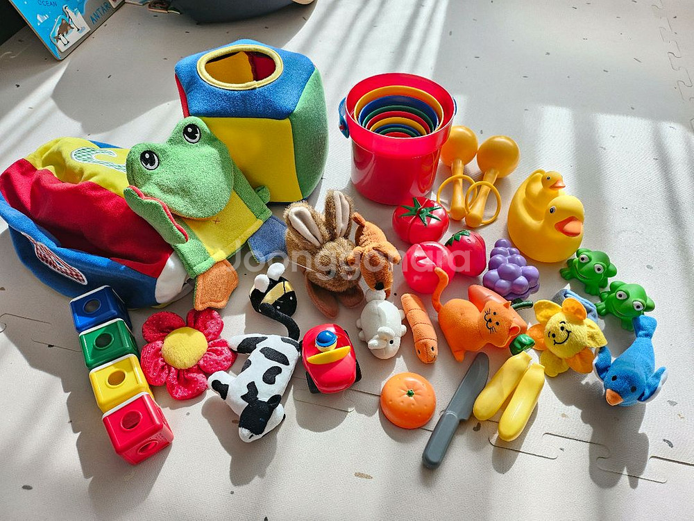 디즈니 월드패밀리(월팸) 미키패키지+QL세트--3