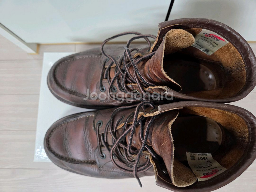 레드윙 판매 합니다.--1