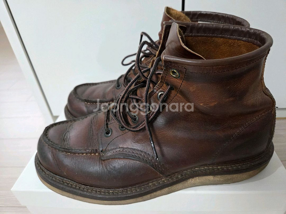 레드윙 판매 합니다.--0