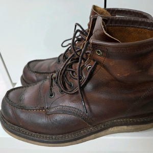 레드윙 판매 합니다.