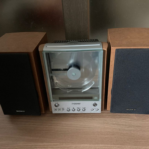 소니 HCD-EX1 오디오 팝니다