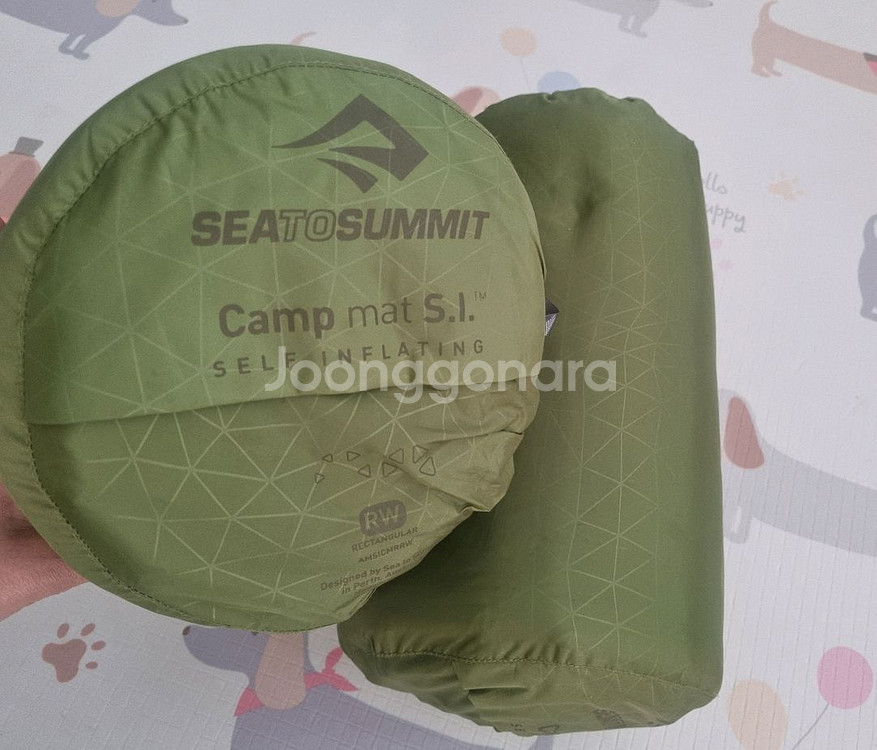 씨투써밋 자충 매트 SI RG RT WD 거의새거--0