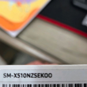 갤럭시탭 S9 Fe 256G Wifi팝니다