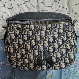 디올 오블리크 소프트 새들백