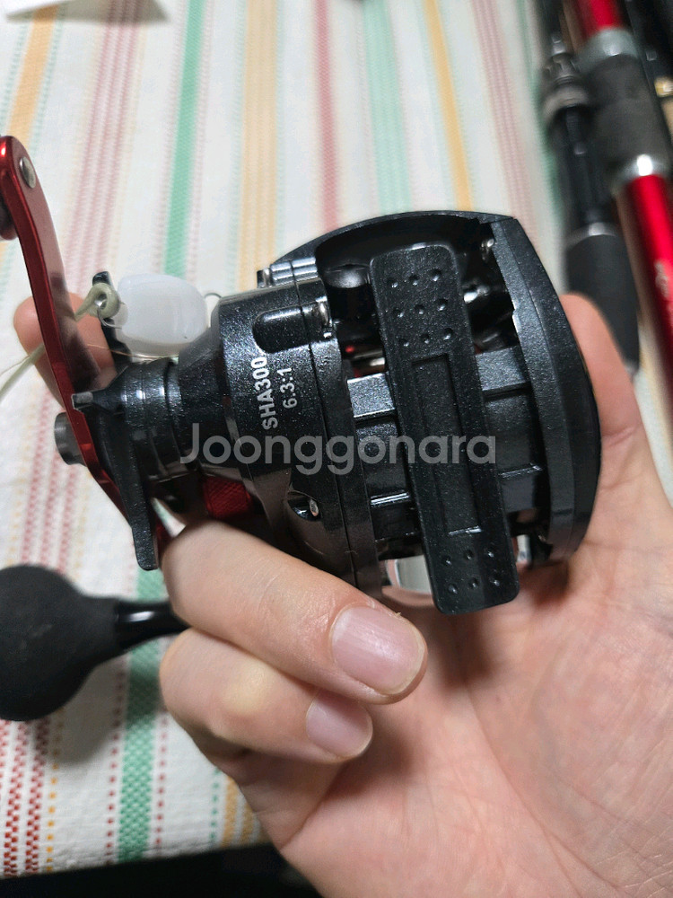 쭈꾸미 한치등 베이트 낚시릴--3