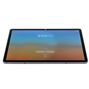 삼성 갤럭시 탭 S9 5G (256GB)