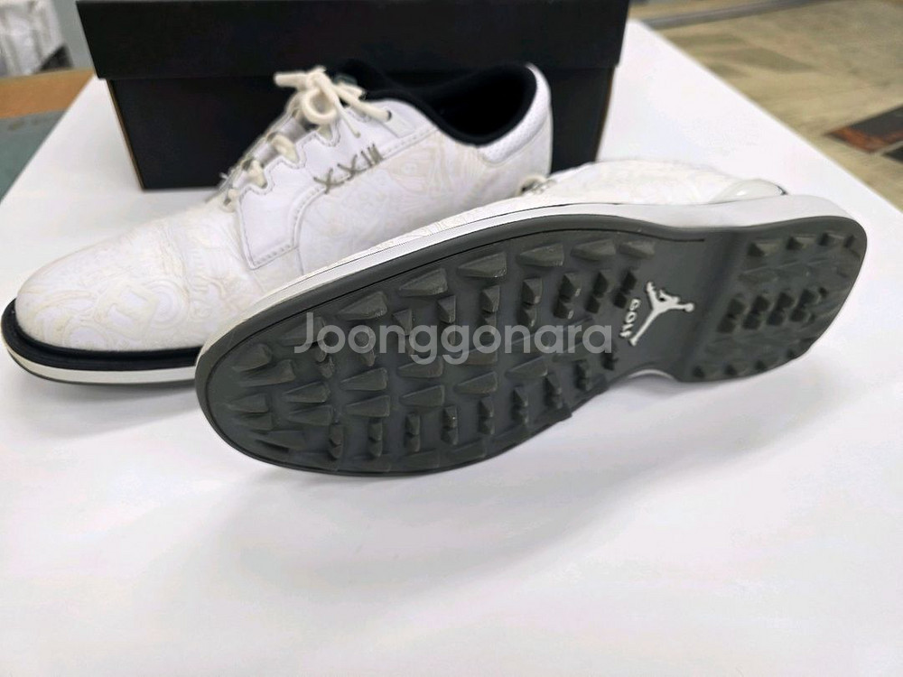나이키조던 골프화 조던 ADG 5 (255cm)--2