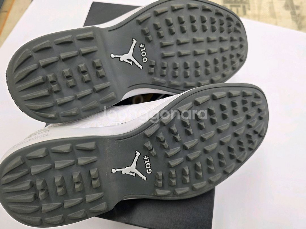 나이키조던 골프화 조던 ADG 5 (255cm)--3