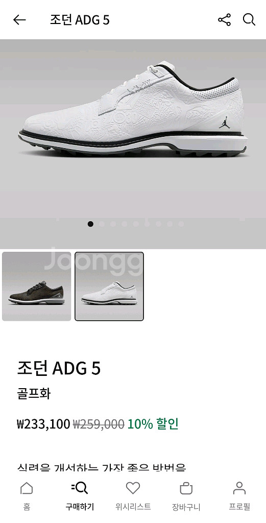 나이키조던 골프화 조던 ADG 5 (255cm)--6