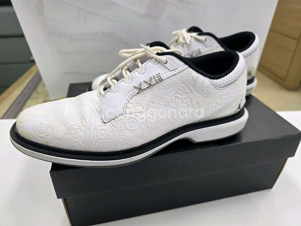 나이키조던 골프화 조던 ADG 5 (255cm)--4