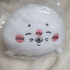 나가노 누이구루미 아자라시 물범 수족관 C상